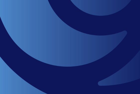 BIND 9 logo image