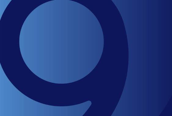 BIND 9 logo image