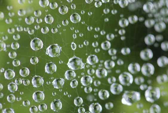 Green bubbles