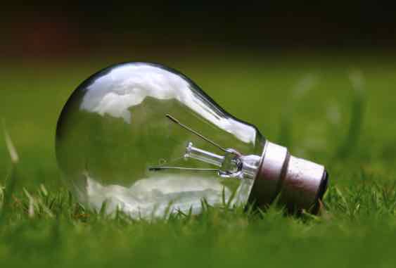 Lightbulb on green grass