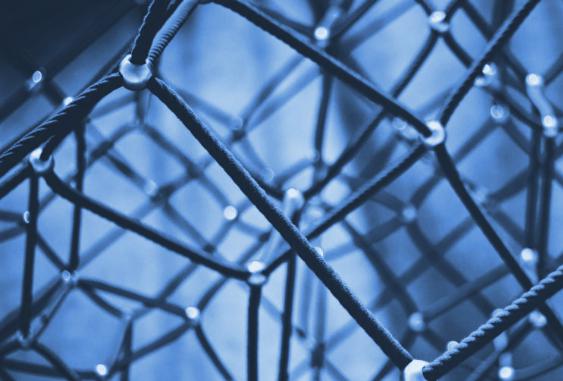 Blue net