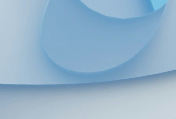 BIND 9 logo image