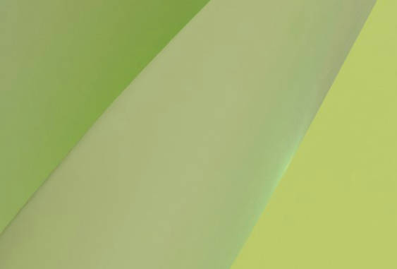 BIND 9 logo image